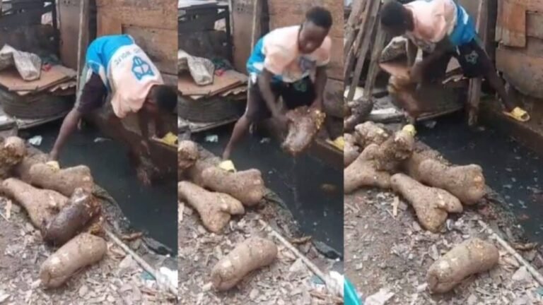 Market Seller Caught Washing Yams in Contaminated Gutter Water, Causes Public Outcry