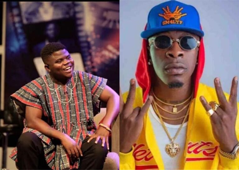 Shatta Wale’s Artistic Brilliance is Unmatched, He Deserves Academic Study” – Wode Maya