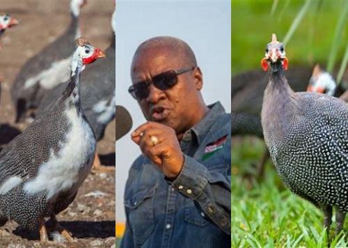 Mahama Sets Record Straight: ‘No Guinea Fowl Flew to Burkina Faso’, Accuses Media of Sensationalism