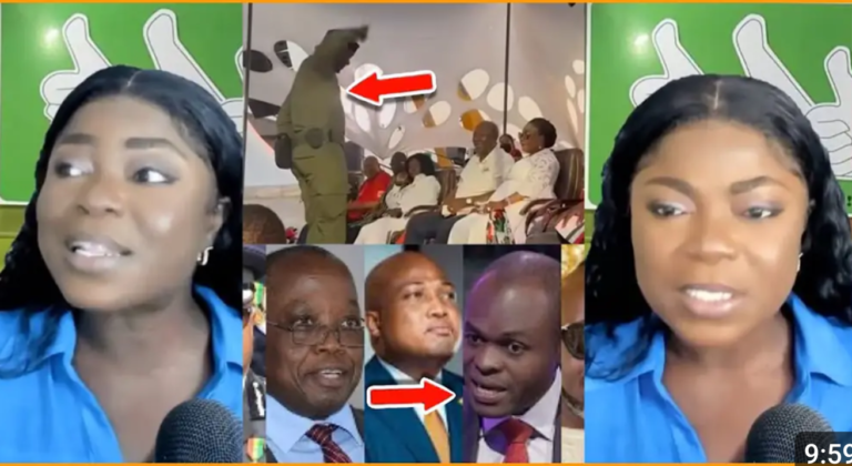 “John Mahama Can’t Jα!l Anybody In Ghana; Not Even Prof Atta Mills Was Able To Do That When He Became President” – Vim Lady