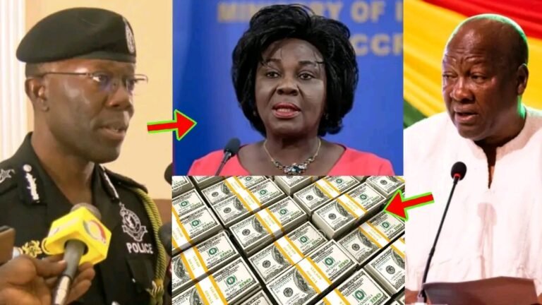 Cecilia Dapaah Allegedly Run Away From Ghana To Escape Jail Over Her Money Case